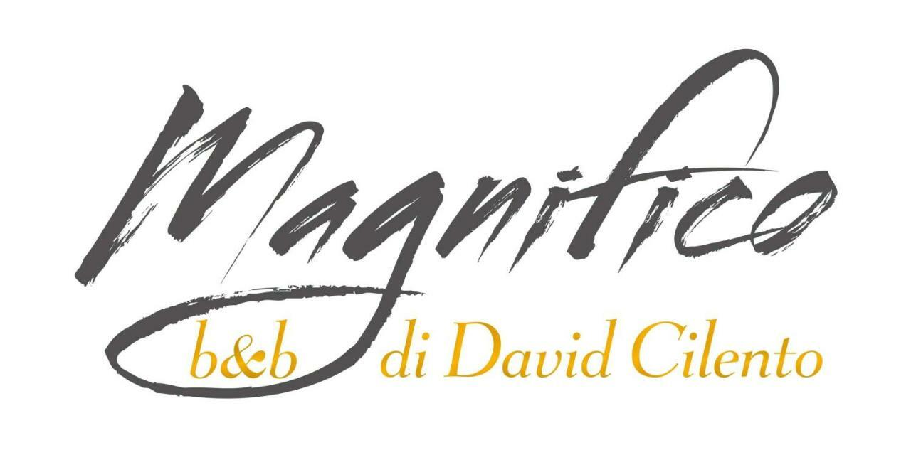 Magnifico B&B Sorrento Bagian luar foto